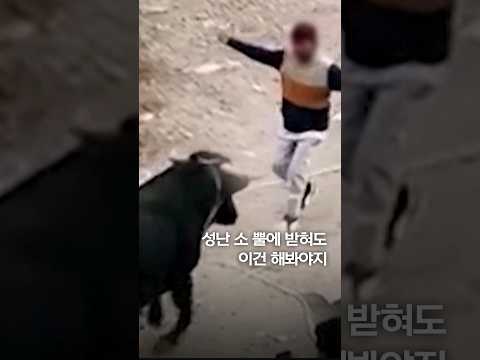 성난 소 뿔에 받혀도 이건 해봐야지 #shorts