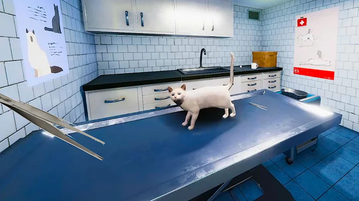 Cat Care at the Pet Hospital ( Animal Shelter Sim Game ) - DayDayNews