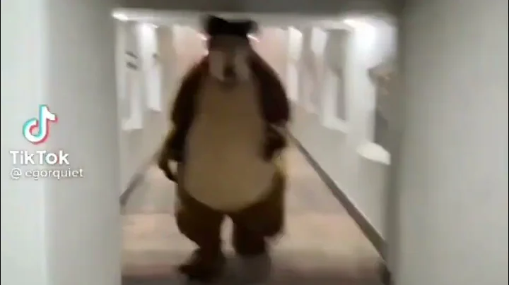 Bear Chasing Person Down Hall Compilation Memes Running (Most Viewed Video)