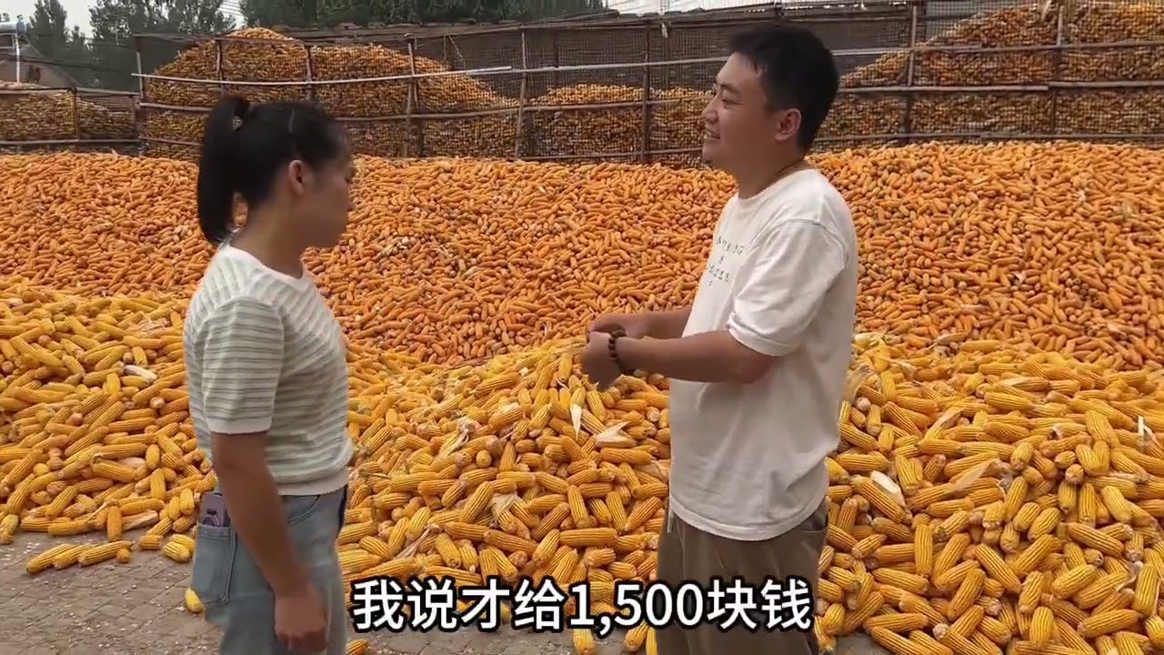 秋天收的，这都冬天了才敢更出来没办法，真正下乡一线真的不容易 一线下乡古董古玩收货淘宝记录 #古董 #瓷器 #铜炉 #古玩 #香炉