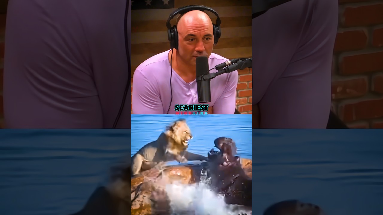 🦛Joe Rogan Reacts to Insane Hippo Attack💀
