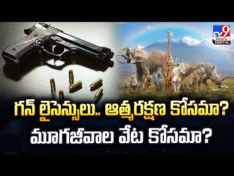 Gun License : గన్‌ లైసెన్సులు.. ఆత్మరక్షణ కోసమా? మూగజీవాల వేట కోసమా? - TV9