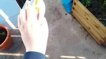 Multi rendering part 0