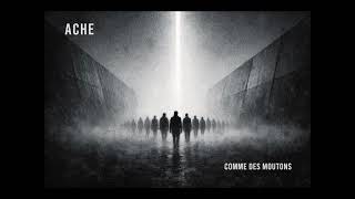 Comme Des Moutons (Chanson Originale)