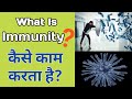 What Is Immunity | Immune System Workings Explained In Hindi | How To Boost Naturally