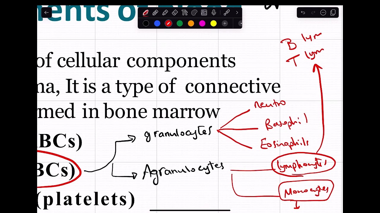 hemato- physio lec 1 blood components and erythrocytes