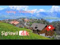 🇨🇭 - SWITZERLAND - SIGRISWIL - PART 6 - INTERLAKEN -Walking Tour beautiful villages- SUIZA - 4k