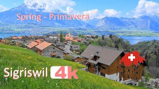 🇨🇭 - SWITZERLAND - SIGRISWIL - PART 6 - INTERLAKEN -Walking Tour beautiful villages- SUIZA - 4k