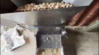 Σπαστήρας καρυδιών CKK100 Tel. 0030 212 2134303 - 0030 231 2134303 viber whats up 0030 6942016387