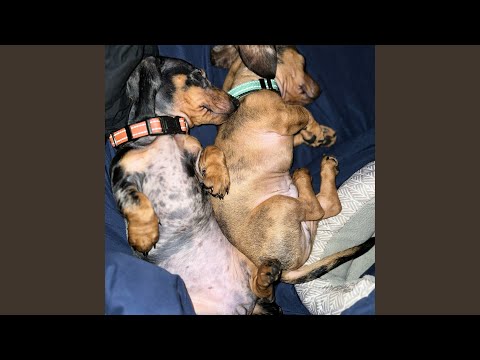 Παρακολούθηση Bouncing στο YouTube Παρακολούθηση Bouncing στο YouTube