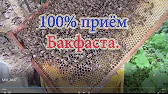 ПАСЕКА ВЛАДИМИРА РЯБУХИНА