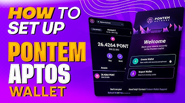 HOW TO SET UP PONTEM APTOS WALLET