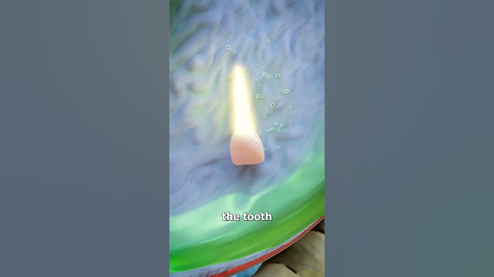Swallowing A Tooth?! 😬 (what happens?)