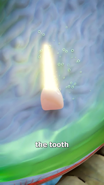 Swallowing A Tooth?! 😬 (what happens?)