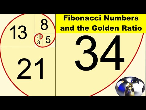 Fibonacci Numbers and