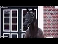 Vagabond 2015 By Vagabond De La Pomme X C Indoctro Sosath Stallion Show 2021 mp3