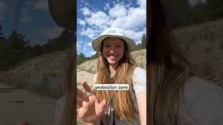 🐢Turtles & Roads Don’t Mix: Western Painted Turtles