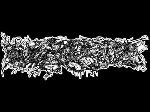Aromatica Germenexcitación En Orgías De Viscosa Y Amarga Putrefación artwork