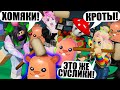 ОТЛУПИЛИ ХОМЯКОВ НИ ЗА ЧТО?! Roblox Mole Bonking Simulator!