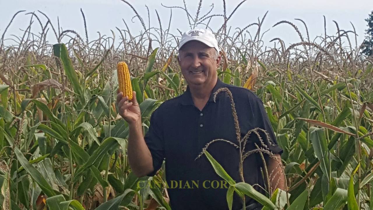 Greg & Cindy Amaral USA Road Trip Chapter #4