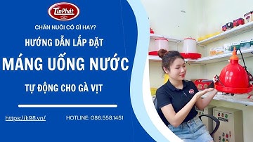 [ Hướng Dẫn ] CÁCH LẮP ĐẶT MÁNG UỐNG NƯỚC TỰ ĐỘNG CHO GÀ VỊT - Tín Phát