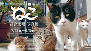 写真展ねこ CMPV6