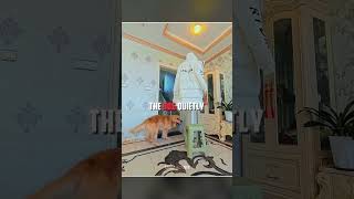His Dog Found Him Instantly… 🥹🐶 #shorts