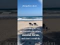 “Blue mind” state https://youtube.com/@healingnature-soundsfromnature?si=59XJqbino27yiYgi
