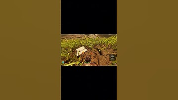 Low gravity Orb Wearver  #gaming #groundedgame #funny #grounded #grounded2 #grounded2game #streamer