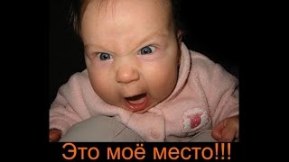 Место начальника ОВД Новоалександровского района. - GAIstOFF -