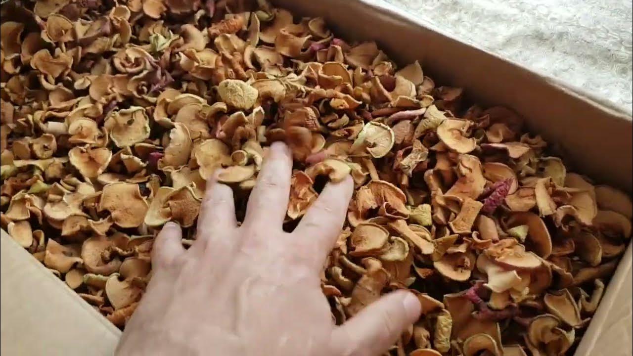 3504 Мои сушеные яблоки с разных яблонь высушенные без духовки полезные ...