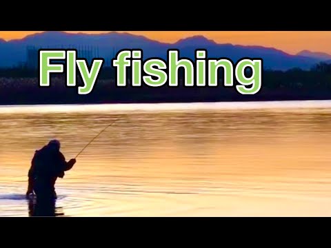 Fly fishing In Japan 