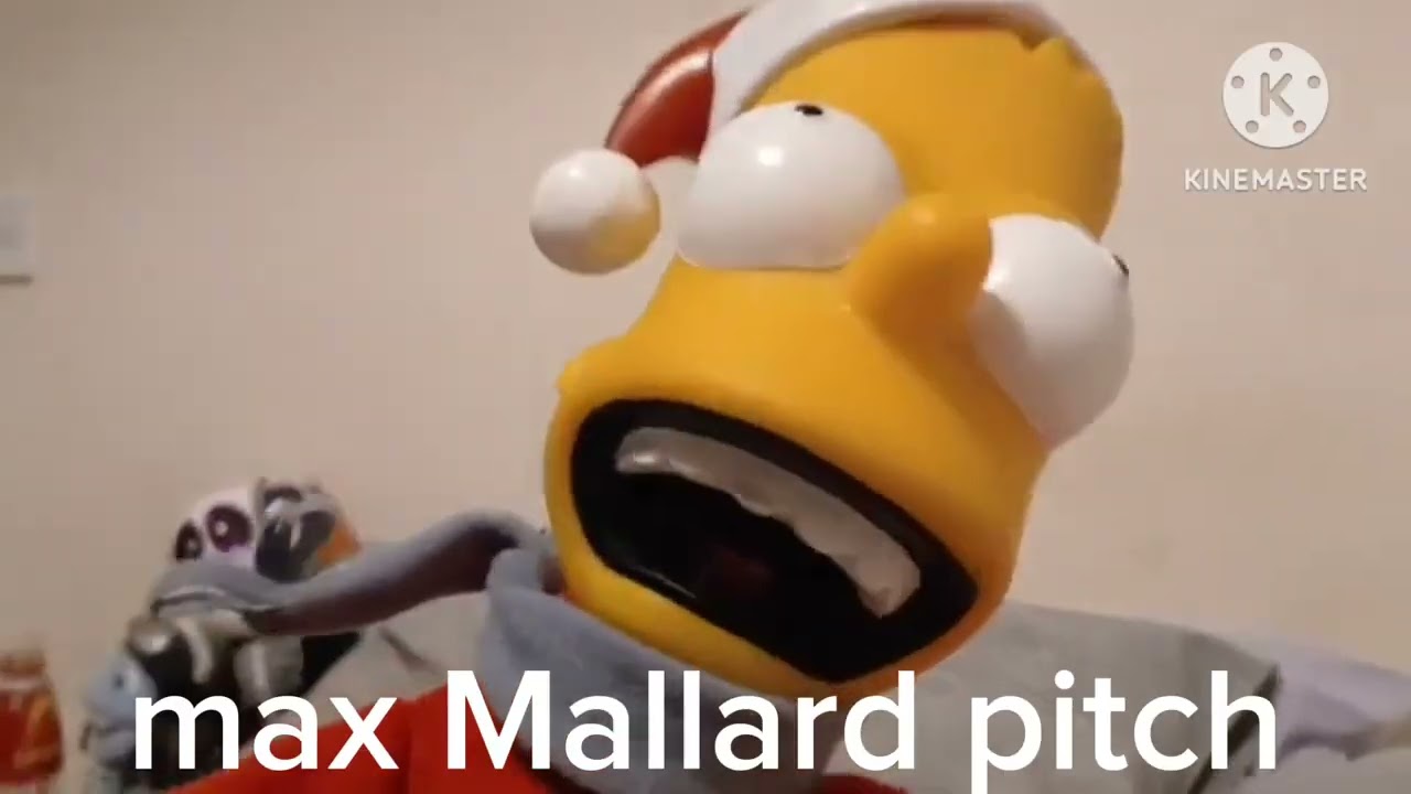 Gemmy Program data glitch Similarities (2) bart Simpson vs max mallard