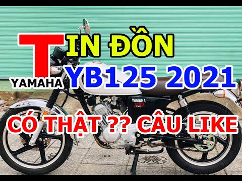 Video TIN ĐỒN YAMAHA YB125SP 2021 CÓ THẬT HAY KHÔNG ??? HAY... - youtube