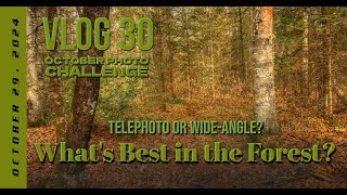 October Photography Challenge: Canon Telephoto vs. Wide-Angle - Which Lens Captures the Forest Best