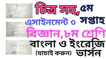 5th week,Class8,Assignment-3,Science,Bangla&Eng.version (৫ম সপ্তাহ,৮ম শ্রেণি,বিজ্ঞান,এসাইনমেন্ট৩)