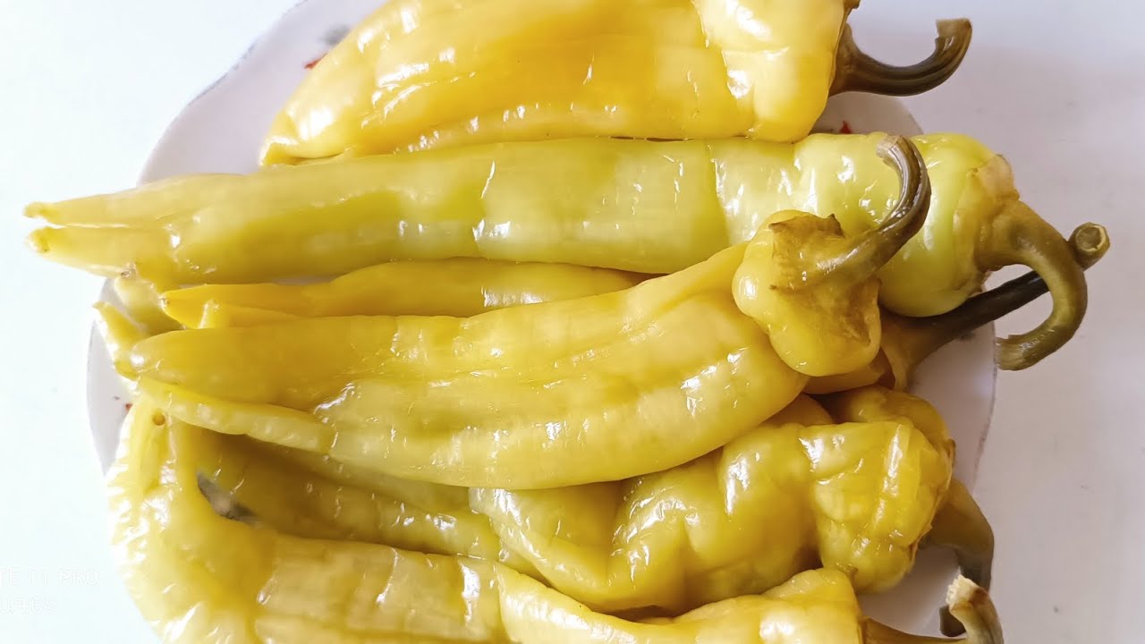 Ծիծակի թթու։ Կարևոր նրբություններ և օգտակար խորհուրդներ։  #ծիծակի-թթու։ 