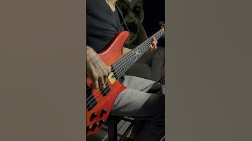 Thumbnail of Cover Bass - Se Volvieron Locos. Kane Rodriguez