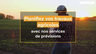 Agriculture : Les services Météo-France (prévisions haute précision, radar de pluie, risque de gel)