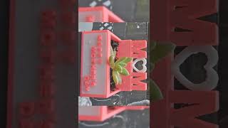 Mothers Day Succulent Planter