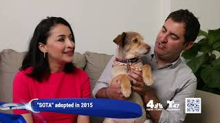 WNBC / WNJU 2023 Clear the Shelters :30 PSA