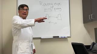 Roving vs. ping pong eye movements