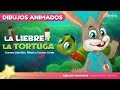 La Liebre y la Tortuga cuentos infantiles para dormir & animados