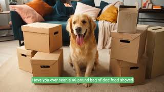 Why Companies Are Ditching USPS  The Hilarious Truth!
