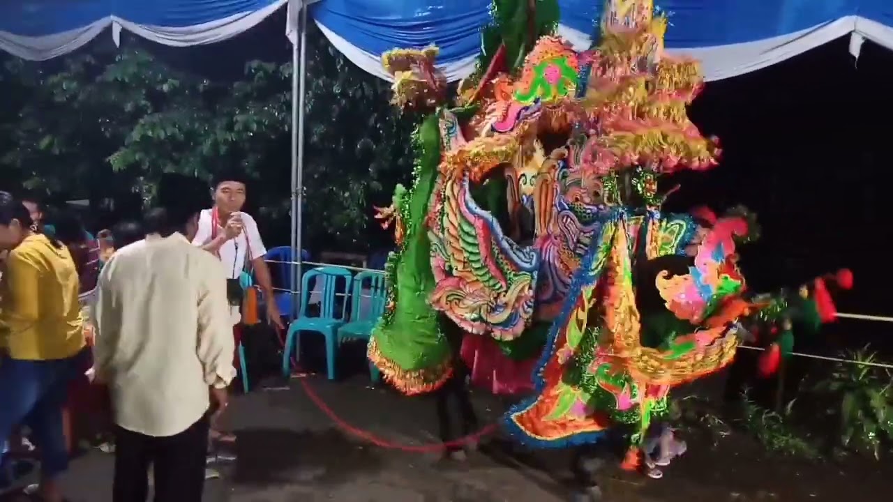 Kuda kencak di desa banjarimbo @ibunisangr