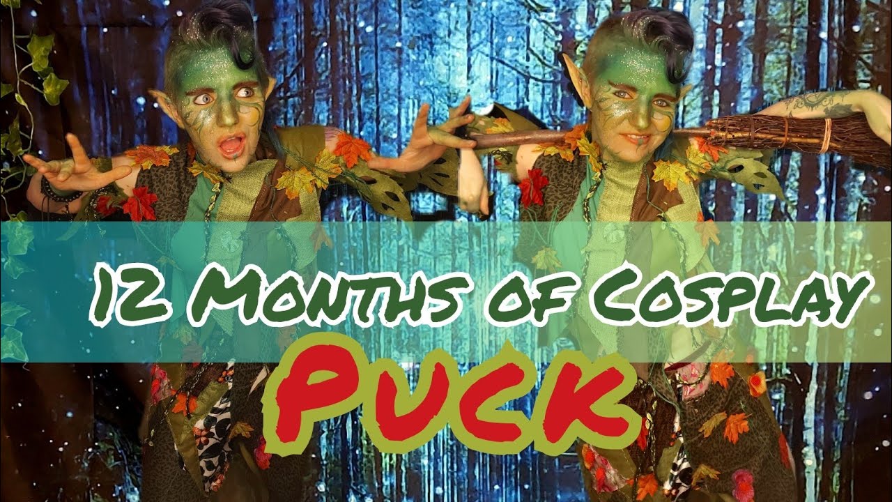 puck-costume