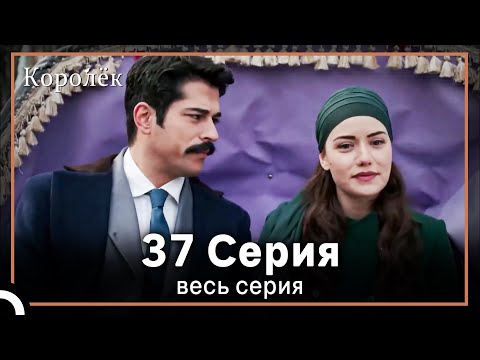 The Wren Episode 37 (Short Episode)