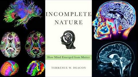Incomplete Nature - How Mind Emerged from Matter