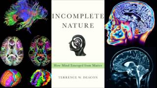 Incomplete Nature - How Mind Emerged from Matter