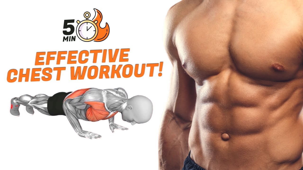 The most Effective Chest Workout at Home! 5 Minute Workout 5분 전신 타바타 운동 YouTube